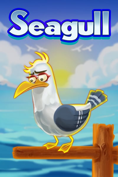 Seagull