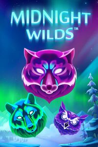 Midnight Wilds